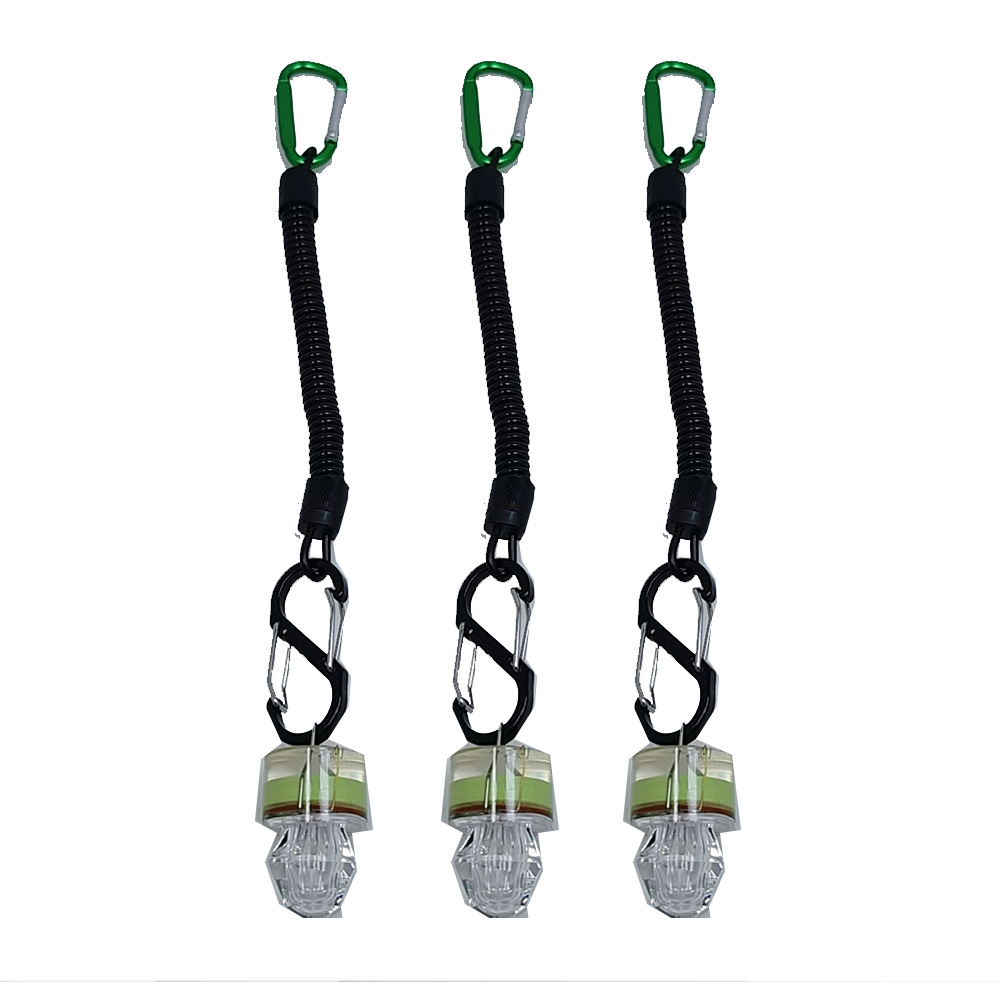 2-3PCS LED Fishing Lights With - огляд і ціна Fish Alarm
